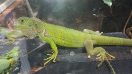 20160717_120800.jpg