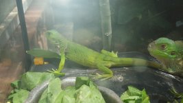 20160717_120834.jpg