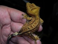 DSCN7477.jpg