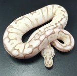 Qbee fire F.jpg