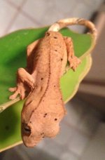 IMG_0174.jpg