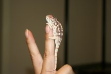 IMG_5860.jpg