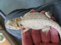 20161027_215823.jpg
