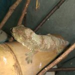 IMAG0370.jpg