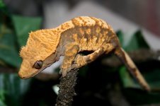 IMG_8995.JPG