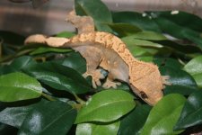 IMG_9001.JPG