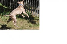 Kriss at play.jpg