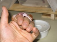 IMG_0742.JPG