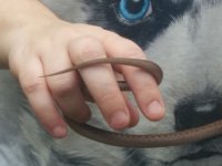 IMG_20161016_165100.jpg