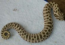 20161130_181131.jpg