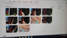 20160819_072516.jpg