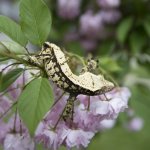 IMG_20160505_212827.jpg