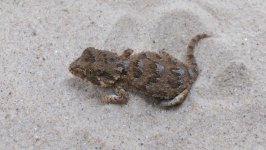 female22.jpg