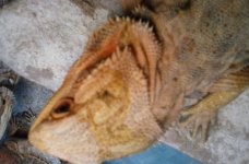 20160731_181709.jpg
