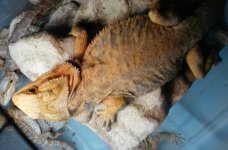 20160731_181717.jpg