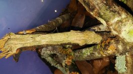 20160811_165514.jpg