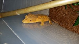 20161001_150110.jpg
