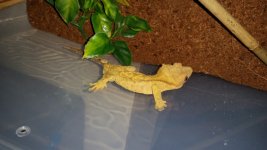 20161001_145942.jpg