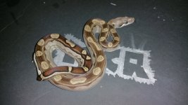 20160818_230343.jpg