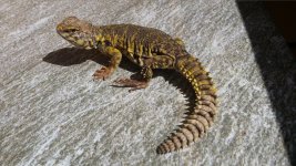 20160713_161117.jpg