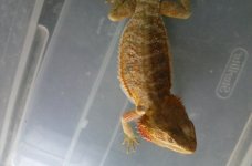 20160807_131718.jpg