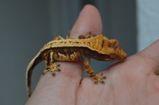 DSC_0837.jpg