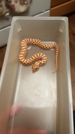 20160826_191722.jpg