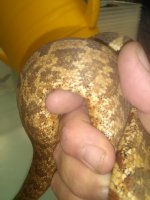 IMG_20160723_174400.jpg