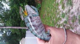 20160805_200751.jpg