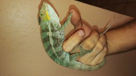 20160802_202459.jpg