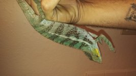 20160802_202519.jpg