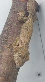 male 3.jpg