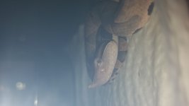 20160907_215632.jpg