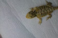 20161024_135933.jpg