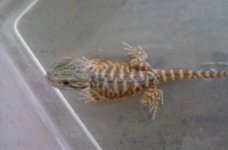 20161009_144943.jpg