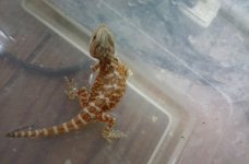 20160911_135201.jpg