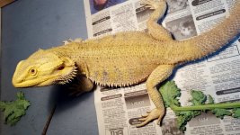 20160528_075542.jpg