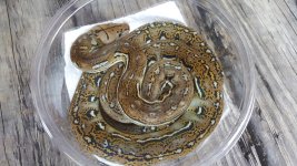 20160925_141442.jpg