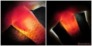 PicMonkey Collage (1).jpg