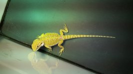 20161027_223635.jpg