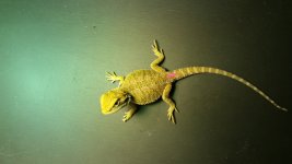 20161027_223956.jpg