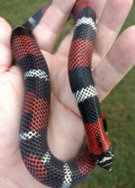 IMG_20160927_185314.jpg