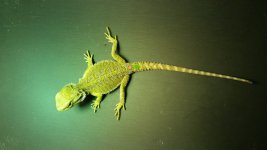 20161027_224832.jpg