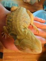 thumbnail_IMG_20161221_123842054.jpg
