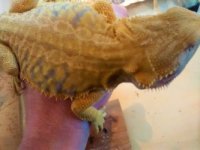 thumbnail_IMG_20161221_123750737.jpg