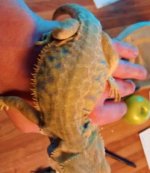 thumbnail_IMG_20161221_123820537.jpg