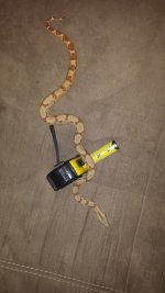 20161221_203625.jpg