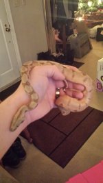 20161221_203727.jpg