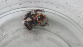 20160905_103031.jpg