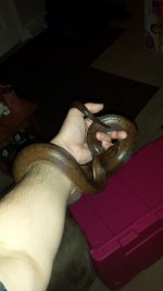 20161221_212257.jpg